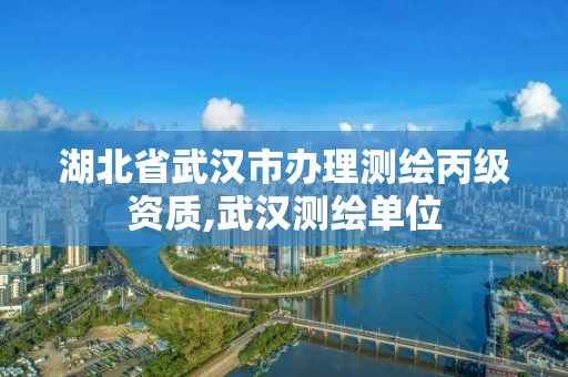 湖北省武漢市辦理測繪丙級資質,武漢測繪單位