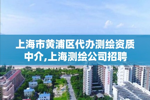 上海市黃浦區代辦測繪資質中介,上海測繪公司招聘