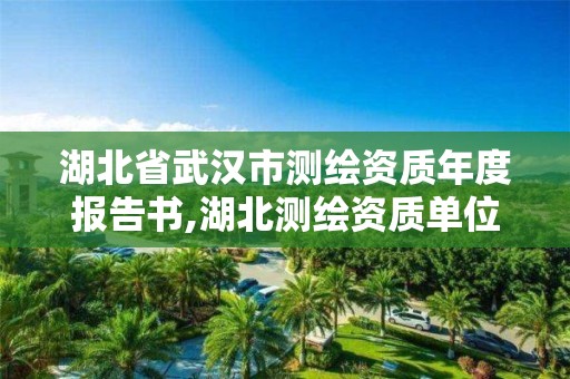 湖北省武漢市測繪資質年度報告書,湖北測繪資質單位。