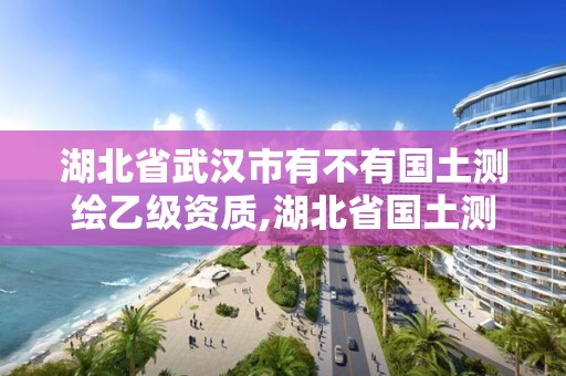 湖北省武漢市有不有國土測繪乙級資質,湖北省國土測繪院與武漢市測繪院哪個好。