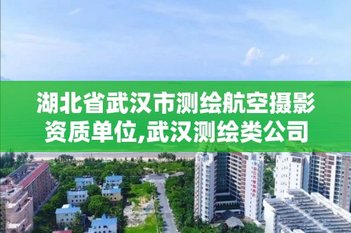 湖北省武漢市測繪航空攝影資質單位,武漢測繪類公司