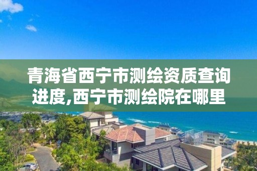 青海省西寧市測繪資質(zhì)查詢進度,西寧市測繪院在哪里