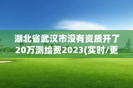 湖北省武漢市沒有資質(zhì)開了20萬測繪費2023(實時/更新中)