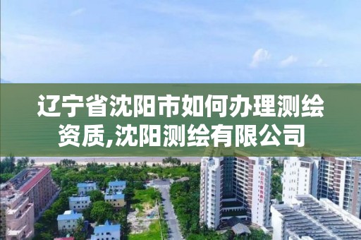 遼寧省沈陽市如何辦理測繪資質,沈陽測繪有限公司