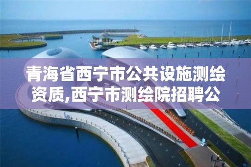 青海省西寧市公共設施測繪資質,西寧市測繪院招聘公示