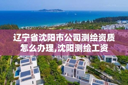 遼寧省沈陽市公司測繪資質怎么辦理,沈陽測繪工資