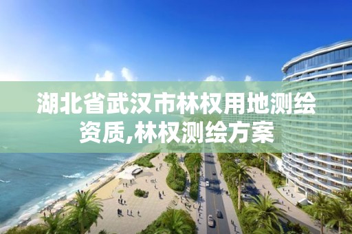 湖北省武漢市林權(quán)用地測(cè)繪資質(zhì),林權(quán)測(cè)繪方案