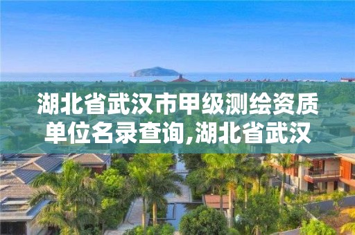 湖北省武漢市甲級測繪資質(zhì)單位名錄查詢,湖北省武漢市甲級測繪資質(zhì)單位名錄查詢電話。