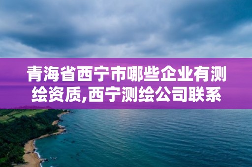 青海省西寧市哪些企業有測繪資質,西寧測繪公司聯系方式