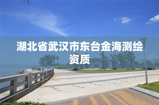 湖北省武漢市東臺金海測繪資質