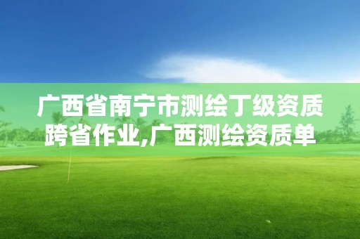 廣西省南寧市測繪丁級資質跨省作業,廣西測繪資質單位