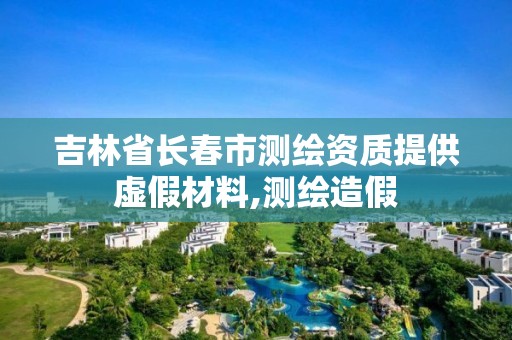 吉林省長春市測繪資質提供虛假材料,測繪造假