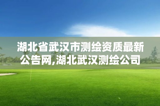 湖北省武漢市測繪資質最新公告網,湖北武漢測繪公司排行榜。