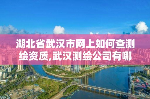 湖北省武漢市網上如何查測繪資質,武漢測繪公司有哪些