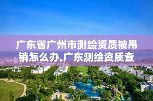 廣東省廣州市測繪資質被吊銷怎么辦,廣東測繪資質查詢