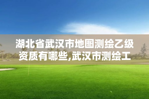 湖北省武漢市地圖測繪乙級資質有哪些,武漢市測繪工程技術規定