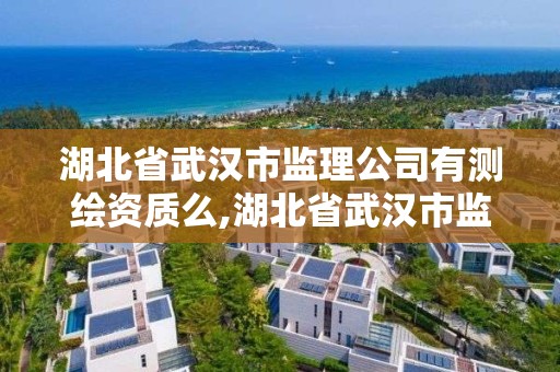 湖北省武漢市監理公司有測繪資質么,湖北省武漢市監理公司有測繪資質么。