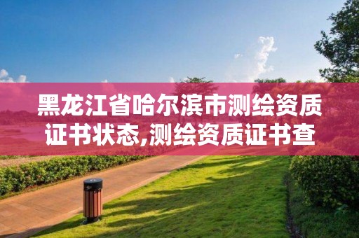 黑龍江省哈爾濱市測繪資質證書狀態,測繪資質證書查詢。