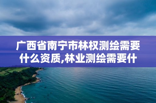 廣西省南寧市林權(quán)測(cè)繪需要什么資質(zhì),林業(yè)測(cè)繪需要什么資質(zhì)。