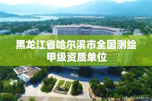 黑龍江省哈爾濱市全國測繪甲級資質單位