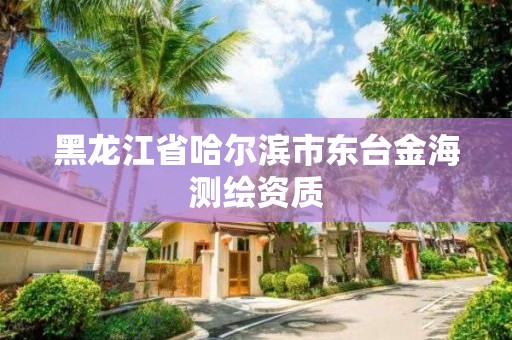 黑龍江省哈爾濱市東臺金海測繪資質