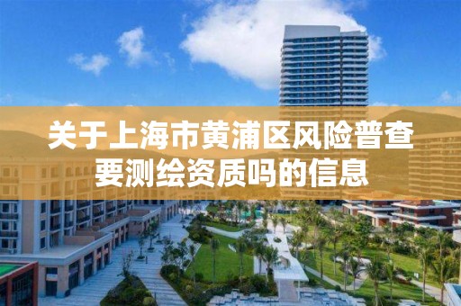 關于上海市黃浦區風險普查要測繪資質嗎的信息