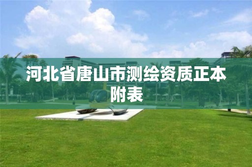 河北省唐山市測繪資質正本附表