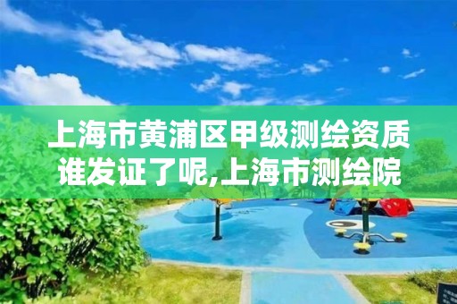 上海市黃浦區甲級測繪資質誰發證了呢,上海市測繪院級別。