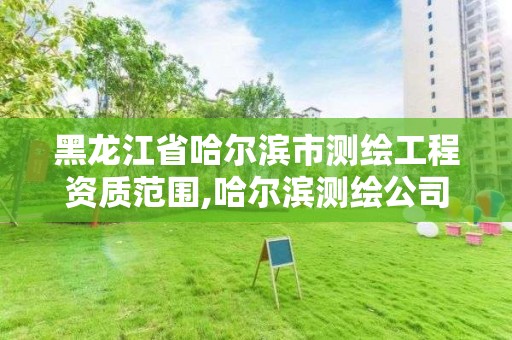 黑龍江省哈爾濱市測繪工程資質(zhì)范圍,哈爾濱測繪公司哪家好