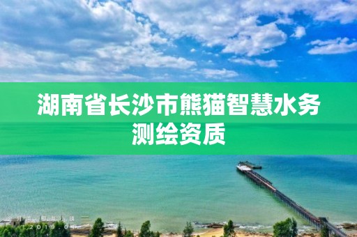 湖南省長(zhǎng)沙市熊貓智慧水務(wù)測(cè)繪資質(zhì)