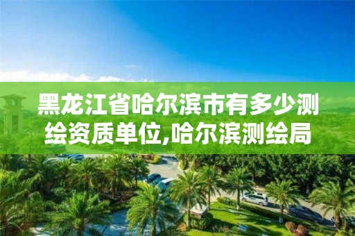 黑龍江省哈爾濱市有多少測繪資質單位,哈爾濱測繪局怎么樣。