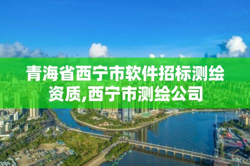 青海省西寧市軟件招標測繪資質,西寧市測繪公司