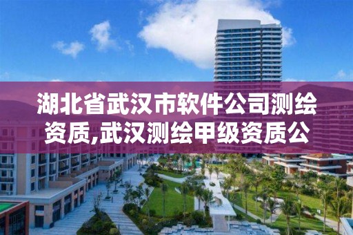 湖北省武漢市軟件公司測繪資質,武漢測繪甲級資質公司