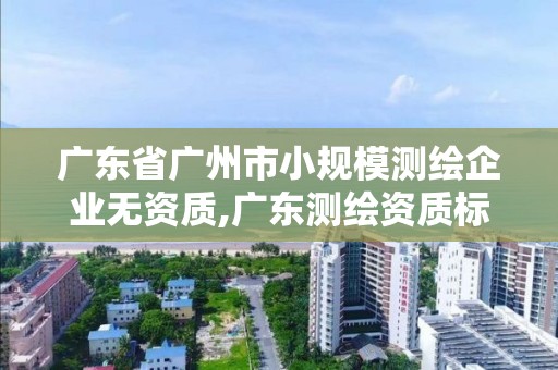 廣東省廣州市小規模測繪企業無資質,廣東測繪資質標準