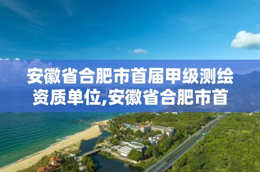 安徽省合肥市首屆甲級測繪資質(zhì)單位,安徽省合肥市首屆甲級測繪資質(zhì)單位名單。