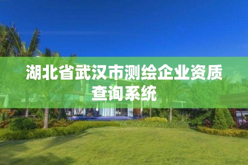 湖北省武漢市測繪企業(yè)資質(zhì)查詢系統(tǒng)