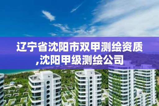 遼寧省沈陽市雙甲測繪資質,沈陽甲級測繪公司