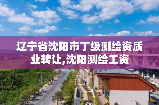 遼寧省沈陽市丁級測繪資質業轉讓,沈陽測繪工資