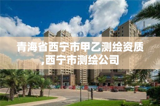 青海省西寧市甲乙測繪資質,西寧市測繪公司