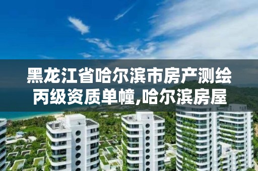 黑龍江省哈爾濱市房產測繪丙級資質單幢,哈爾濱房屋測量公司收費標準。