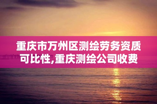 重慶市萬州區測繪勞務資質可比性,重慶測繪公司收費標準