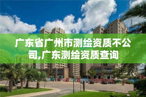 廣東省廣州市測繪資質不公司,廣東測繪資質查詢