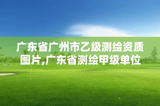 廣東省廣州市乙級測繪資質圖片,廣東省測繪甲級單位