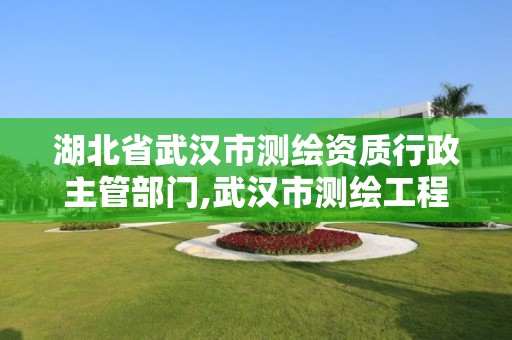 湖北省武漢市測繪資質行政主管部門,武漢市測繪工程技術規定。