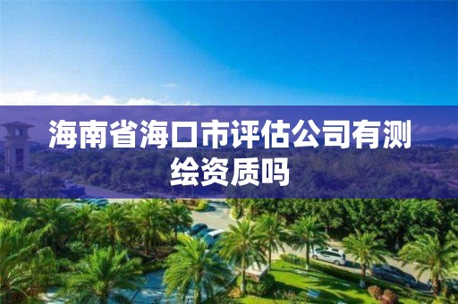 海南省海口市評估公司有測繪資質嗎