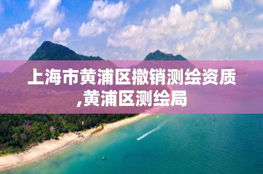 上海市黃浦區(qū)撤銷測繪資質(zhì),黃浦區(qū)測繪局