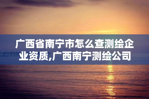 廣西省南寧市怎么查測繪企業資質,廣西南寧測繪公司排名。