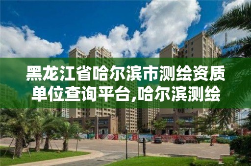 黑龍江省哈爾濱市測繪資質(zhì)單位查詢平臺,哈爾濱測繪公司電話