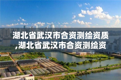 湖北省武漢市合資測繪資質,湖北省武漢市合資測繪資質企業名單