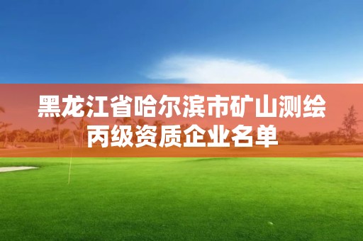 黑龍江省哈爾濱市礦山測繪丙級資質企業名單